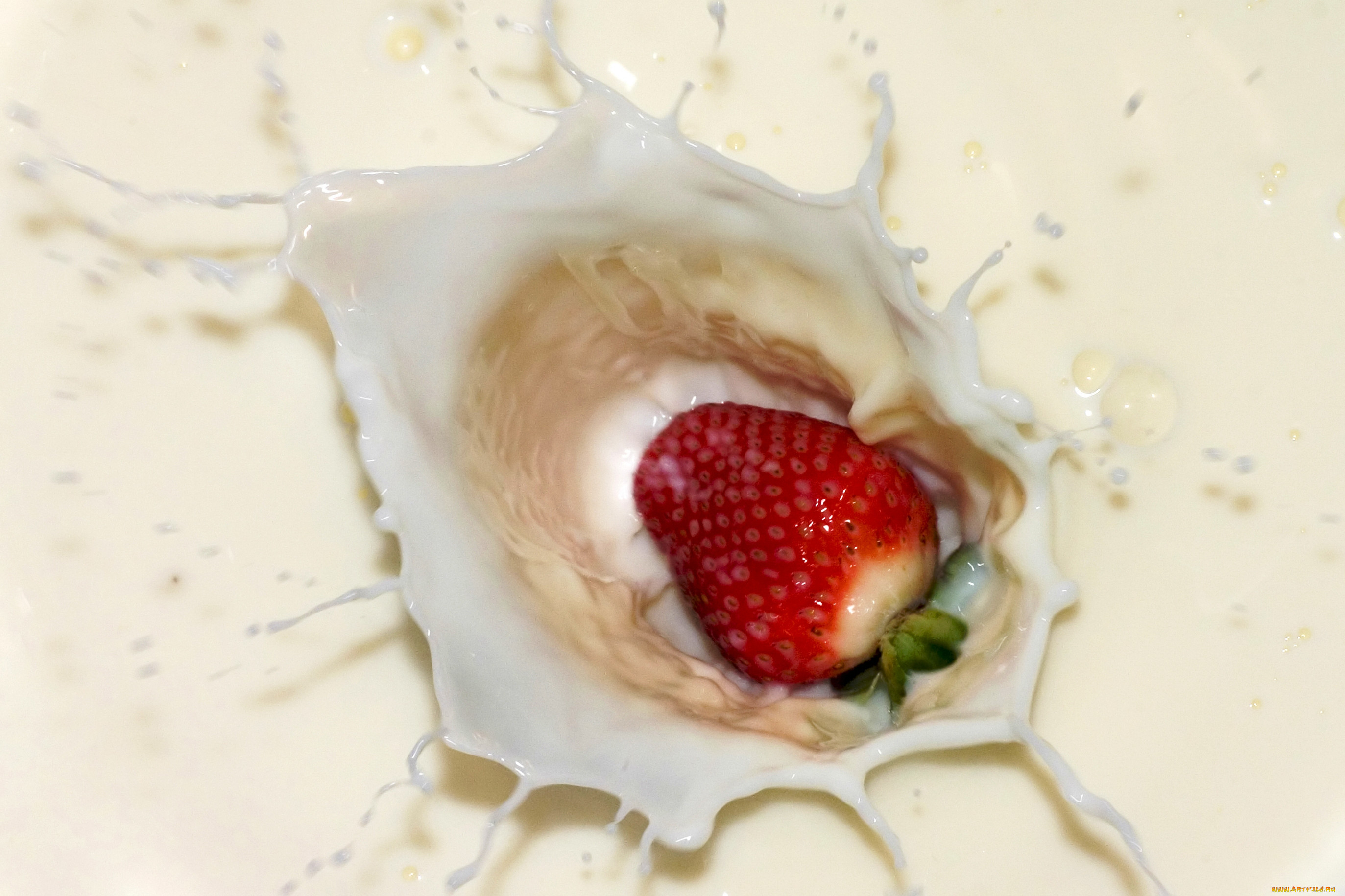 , ,  , , , , 